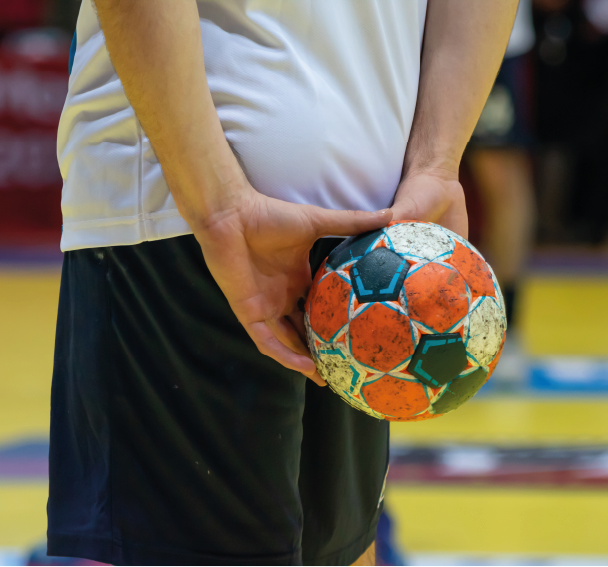 Handball Interligues