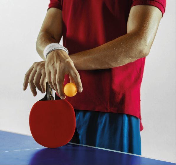 Tennis de table LGETT1P6 / Anould 8