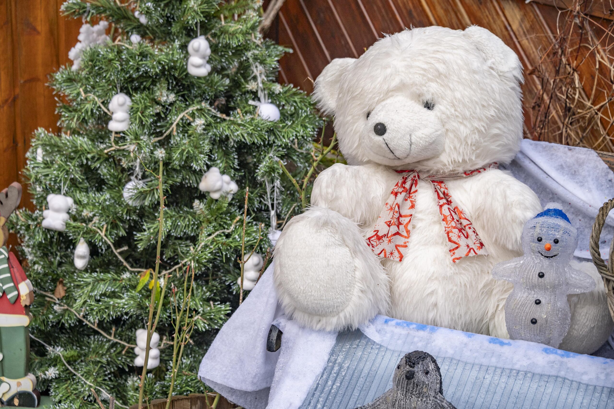 Marché de Noël par le club des Molières
