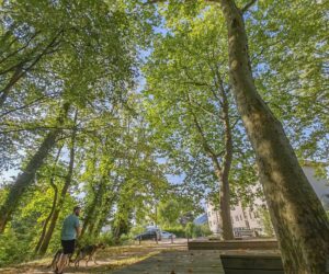 Photo du jardin de la libération