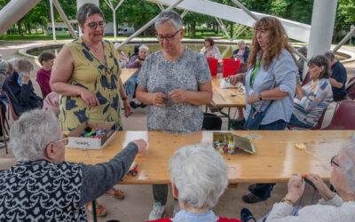 Journée mondiale du tricot : Des papillons par dizaines !