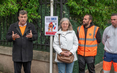 Propreté urbaine : Des sanctions amplifiées contre les déjections canines