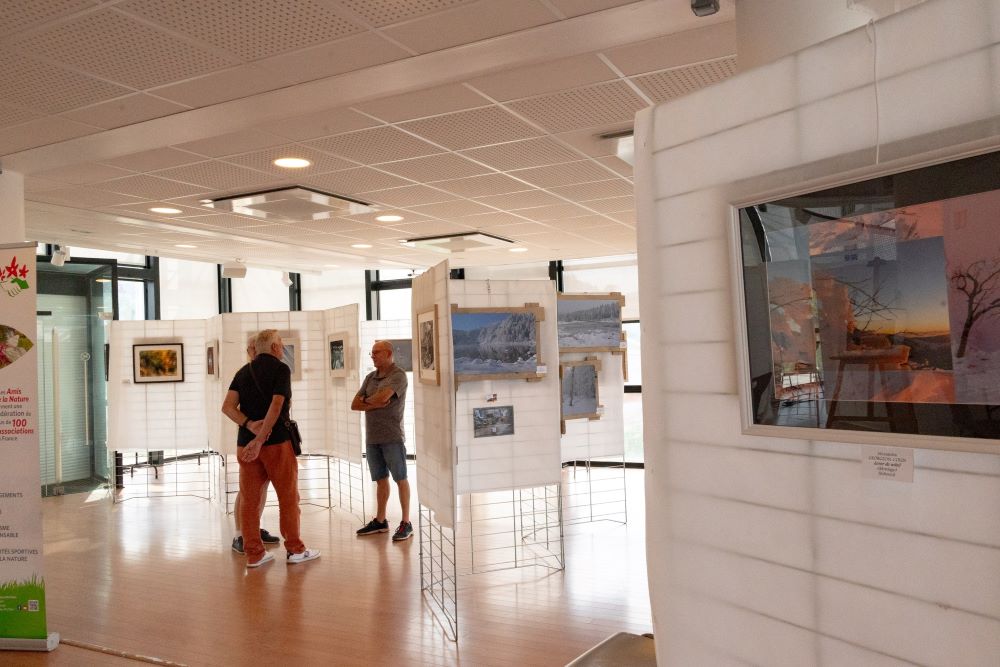 les-vosges-a-la-tour-de-la-liberte Photo de l'exposition "Regard sur nos Vosges"
