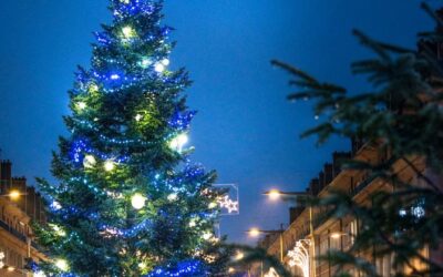 A la recherche du grand sapin