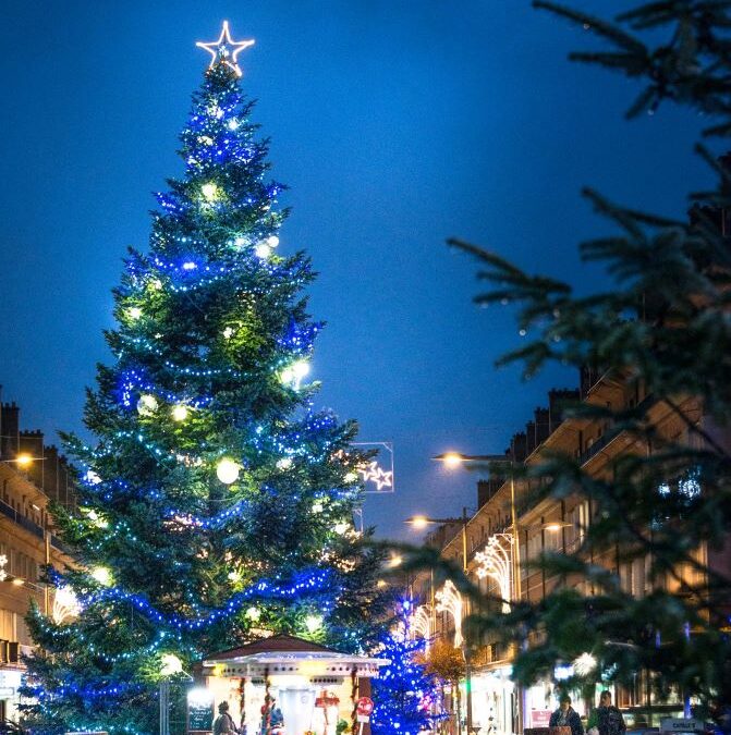 A la recherche du grand sapin