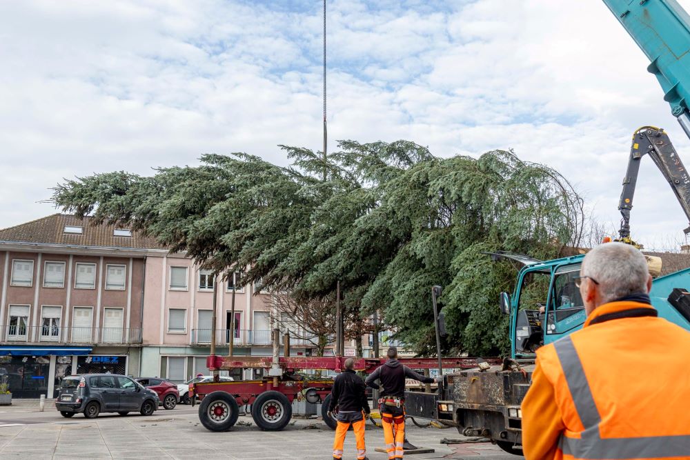 Le sapin est en place !