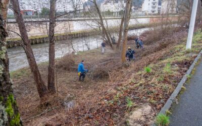 Les berges de la Meurthe nettoyées par l’AAPPMA