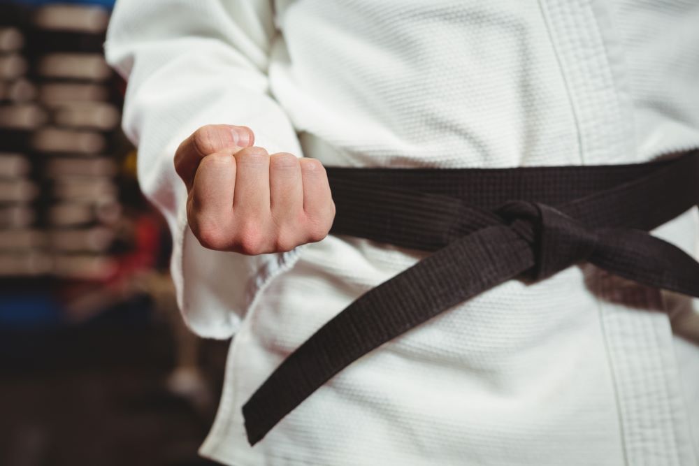 Le Dojo ouvre ses portes