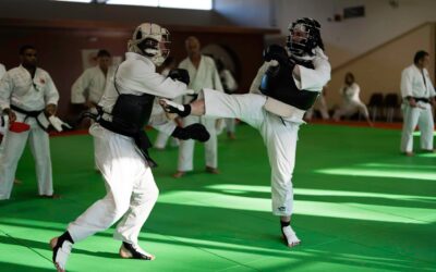 Nippon kempo : un grand gala pour les 40 ans