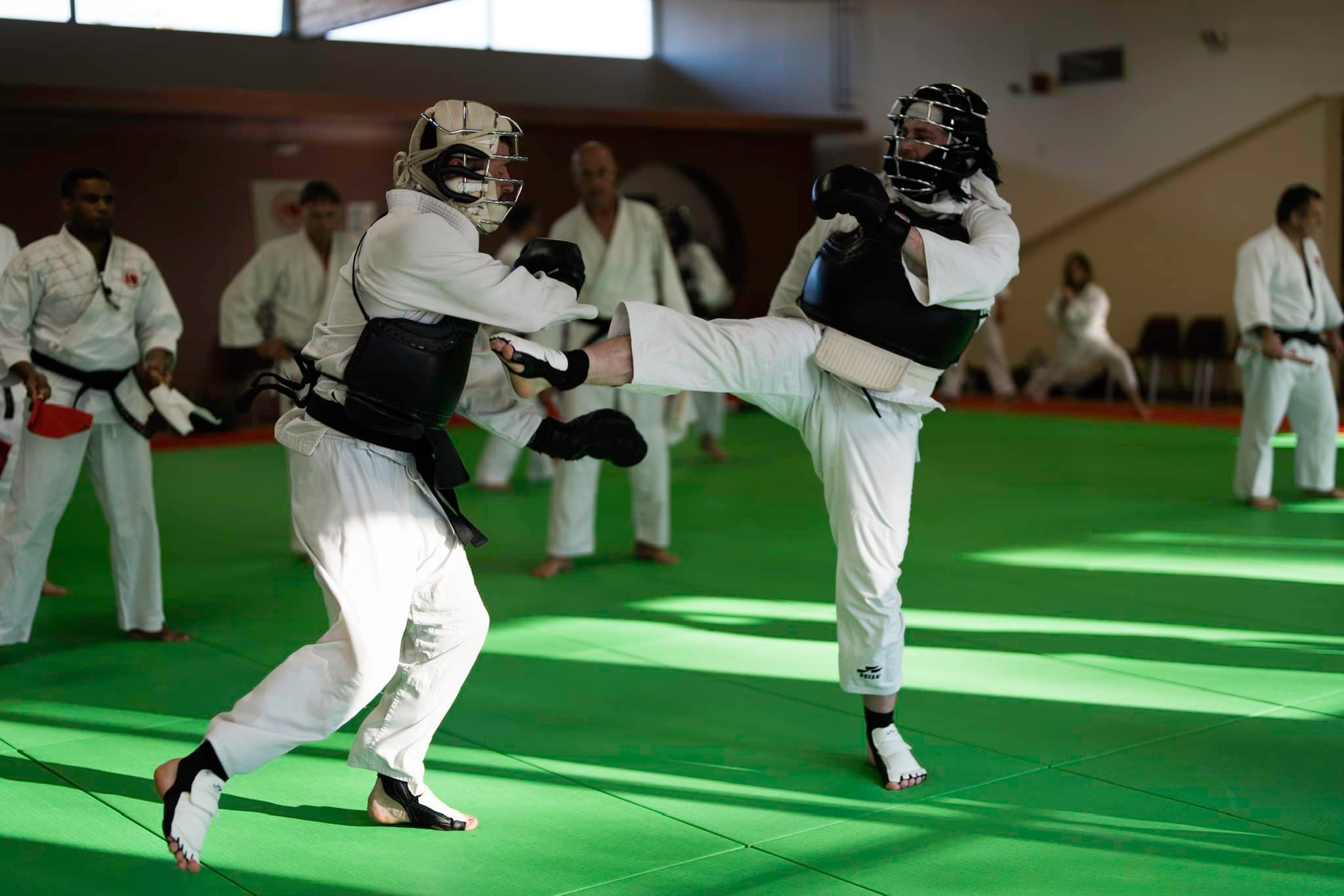 nippon-kempo-un-grand-gala-pour-les-40-ans Photo représentant le Nippon Kempo