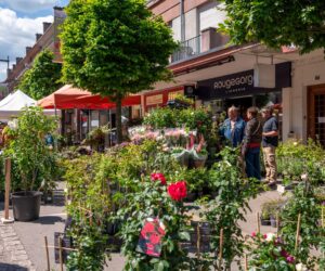 un jardin dans ma ville 2025