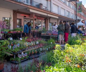 un jardin dans ma ville 2025