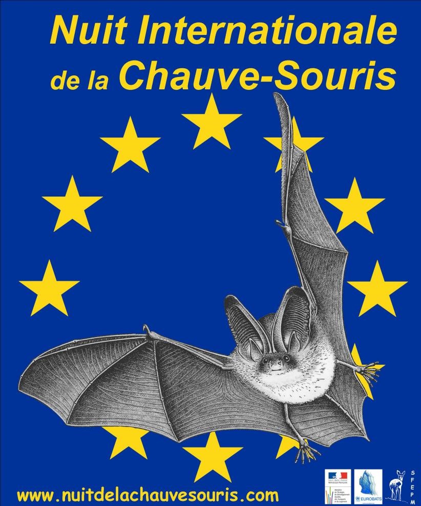 Nuit de la Chauve-Souris