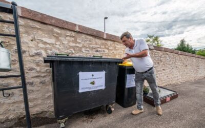 Des bacs pour récupérer les plantes