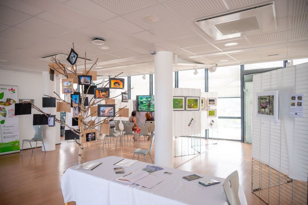 differents-regards-sur-les-vosges-a-la-tour-de-la-liberte exposition des amis de la nature à la tour de la liberté 2025