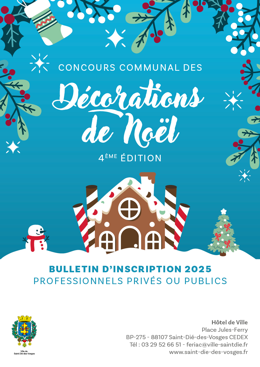 AFFICHE_PROFFESSIONNELS_2025 affiche des décorations de noël 2025 professionnels privés ou publics