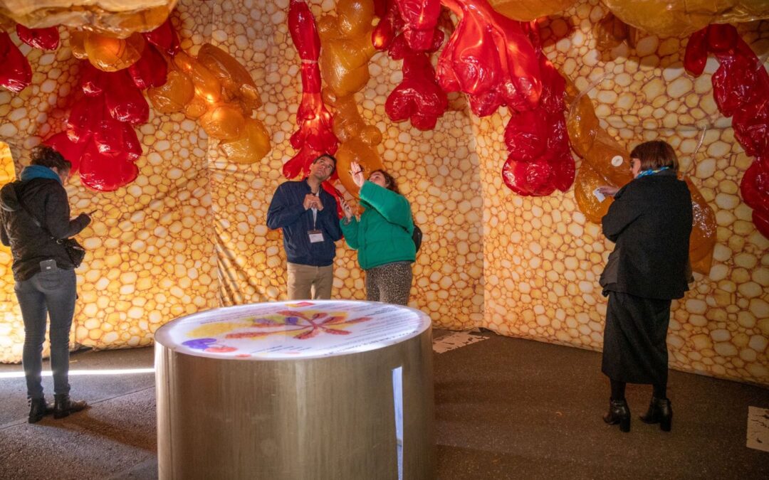 Des seins au milieu du Village