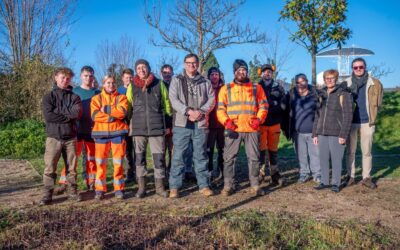 Coupe d’automne au jardin Simone-Veil