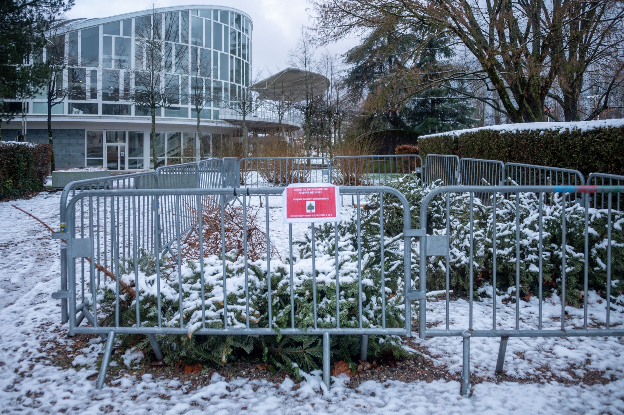 des-aires-de-stockage-pour-les-sapins-de-noel Des aires de stockage pour les sapins de Noël