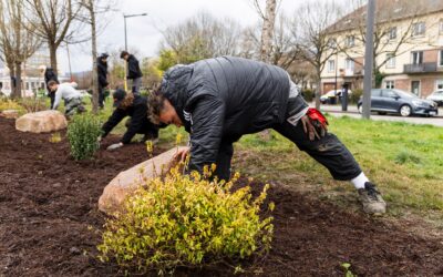 Des élèves en horticulture s’exercent au jardin Simone-Veil