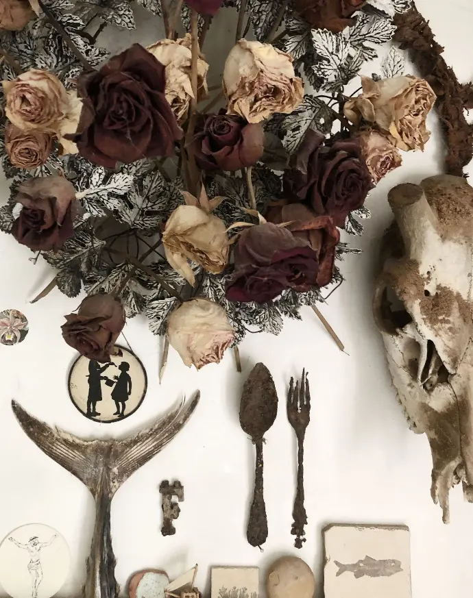 « De l’univers familier au silence des musées »