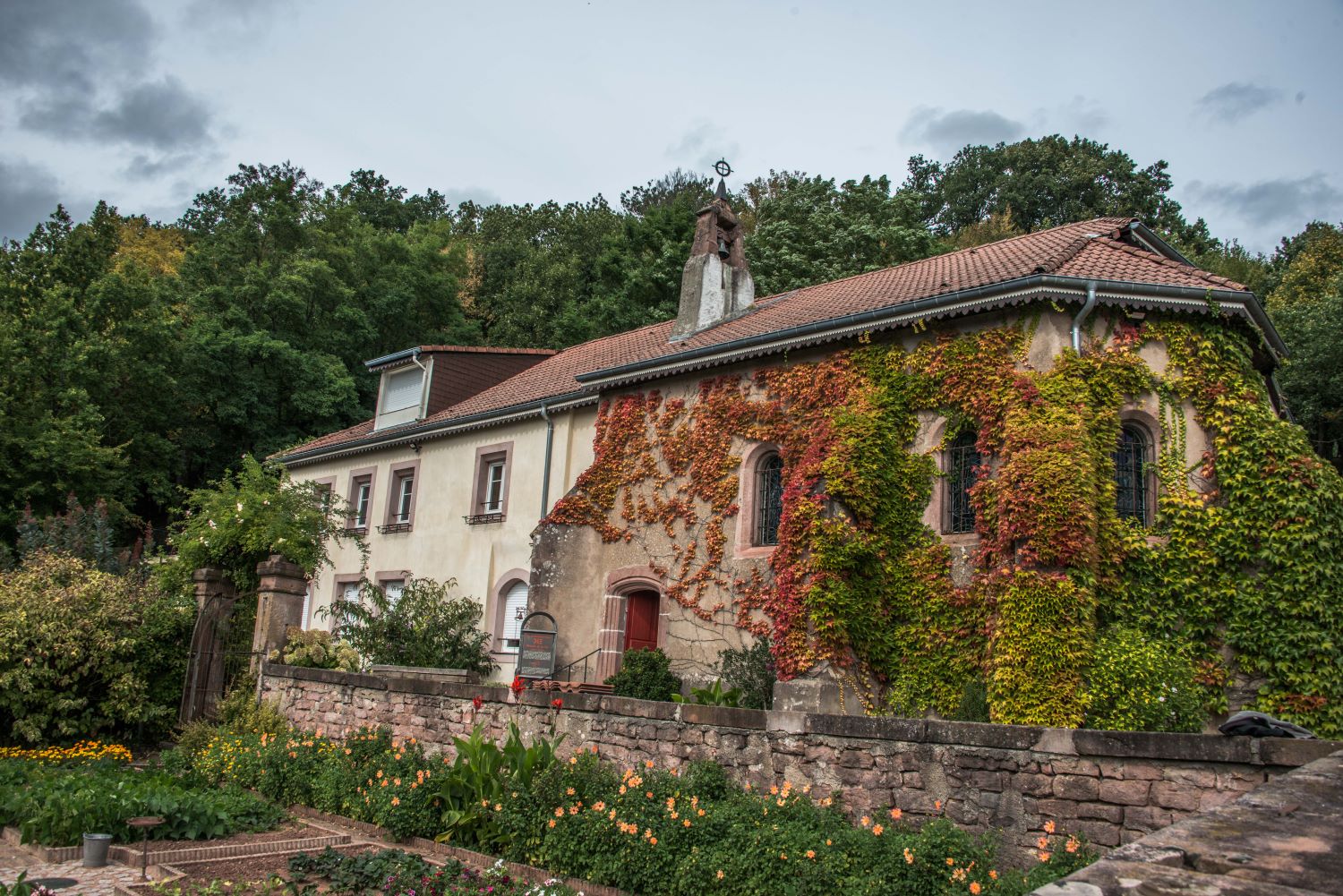 « Rêver la forêt » par Emmanuelle Pereira