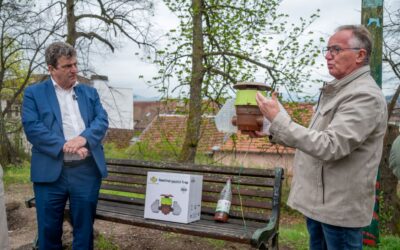 Des pièges à frelons asiatiques installés dans la ville