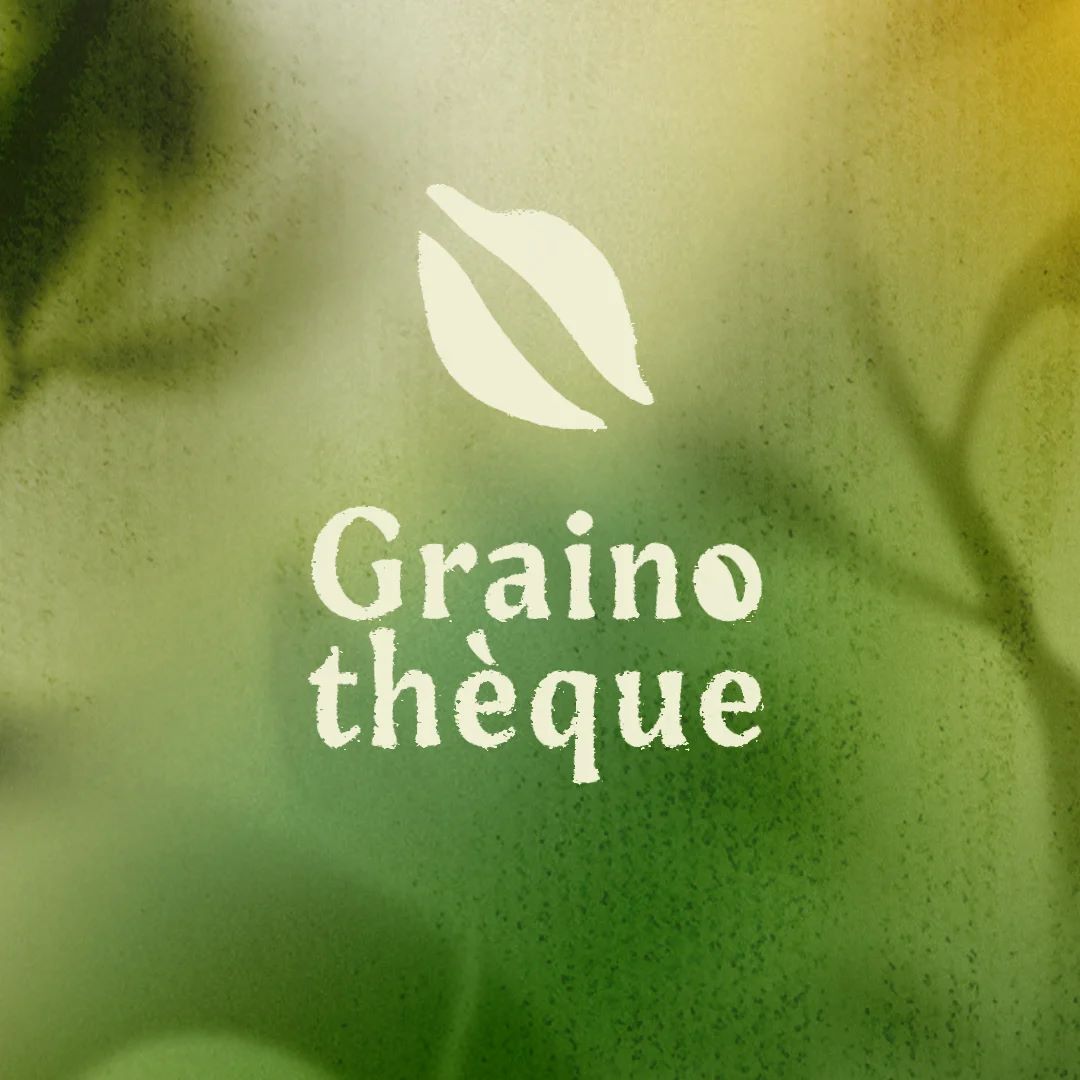 Fabrique ton papier de graines !