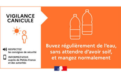 Vigilance orange canicule dans les Vosges