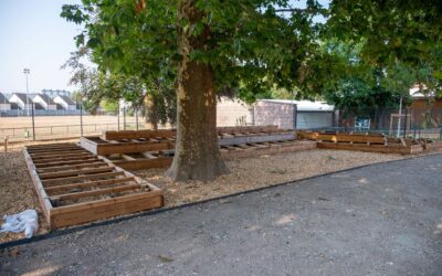 L’école élémentaire Paul-Elbel végétalisée à son tour