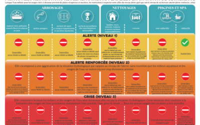 Sécheresse et incendie : Restons vigilants face aux risques