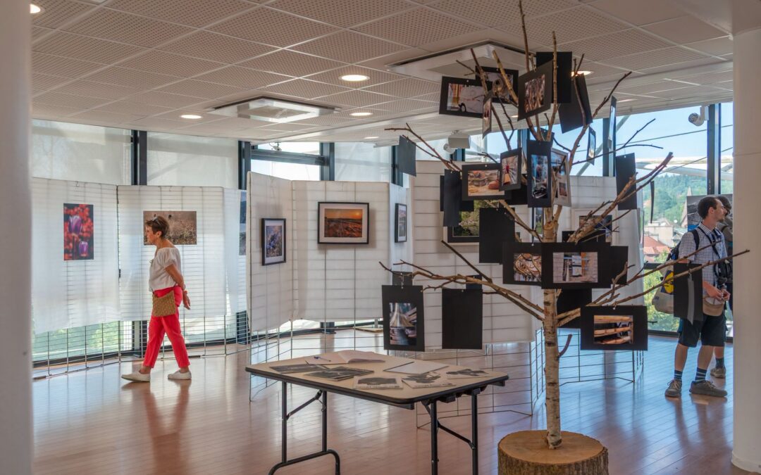 Une exposition qui offre des regards sur les Vosges