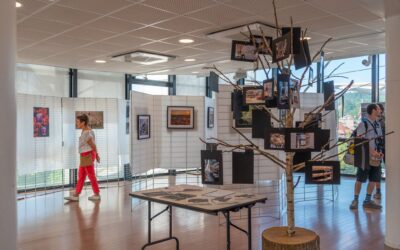 Une exposition qui offre des regards sur les Vosges