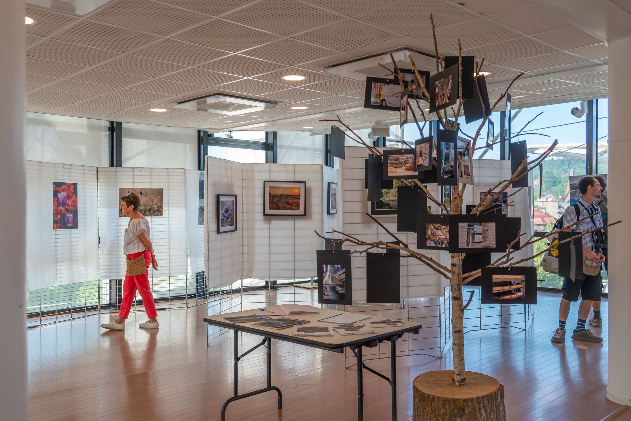 une-exposition-qui-offre-des-regards-sur-les-vosges Une exposition qui offre des regards sur les Vosges