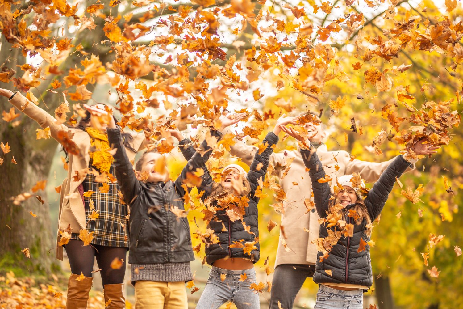 automne